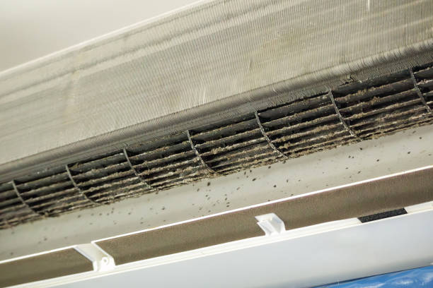 Best Air Duct Cleaning Near Me  in Pleasant Grove, OH